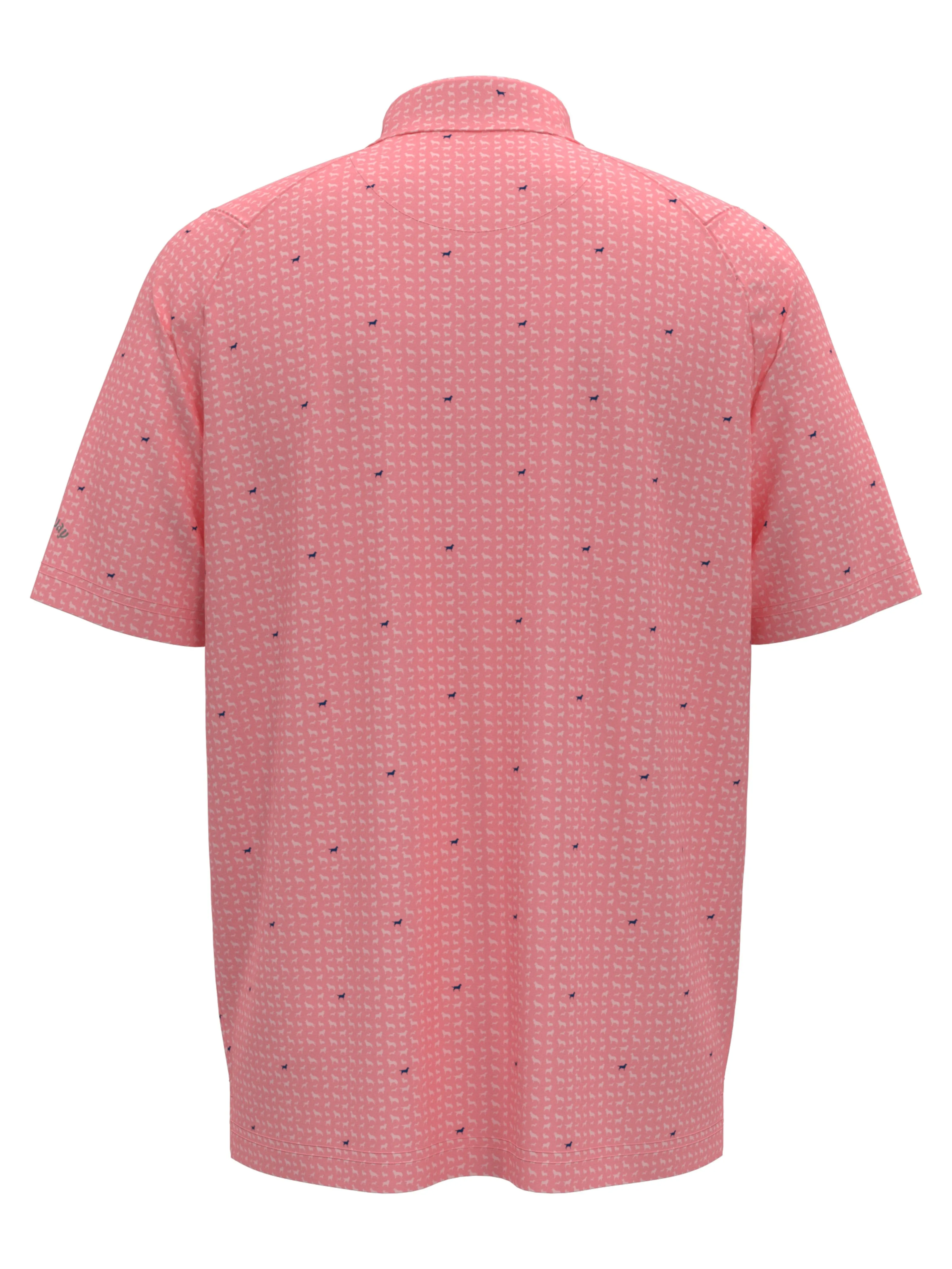 Boys Doggy Print Polo Callaway Apparel