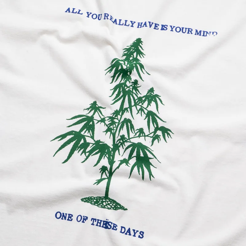 One Of These Days All You Really Have Is Your Mind Tee - Bone