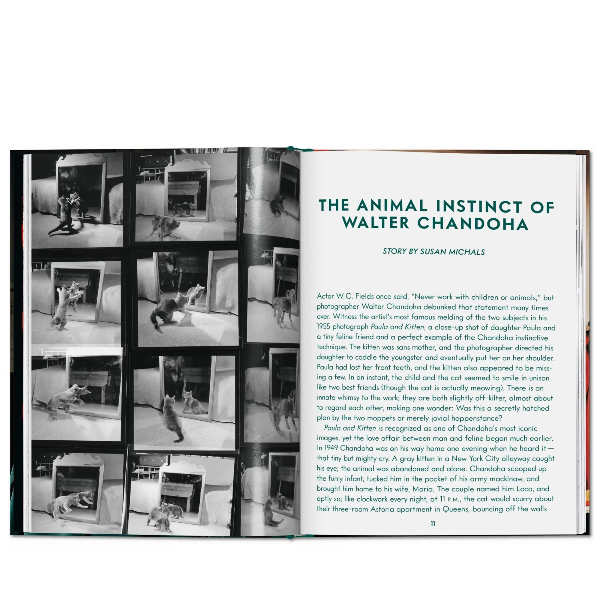 Taschen Walter Chandoha. Cats. Photographs 19422018